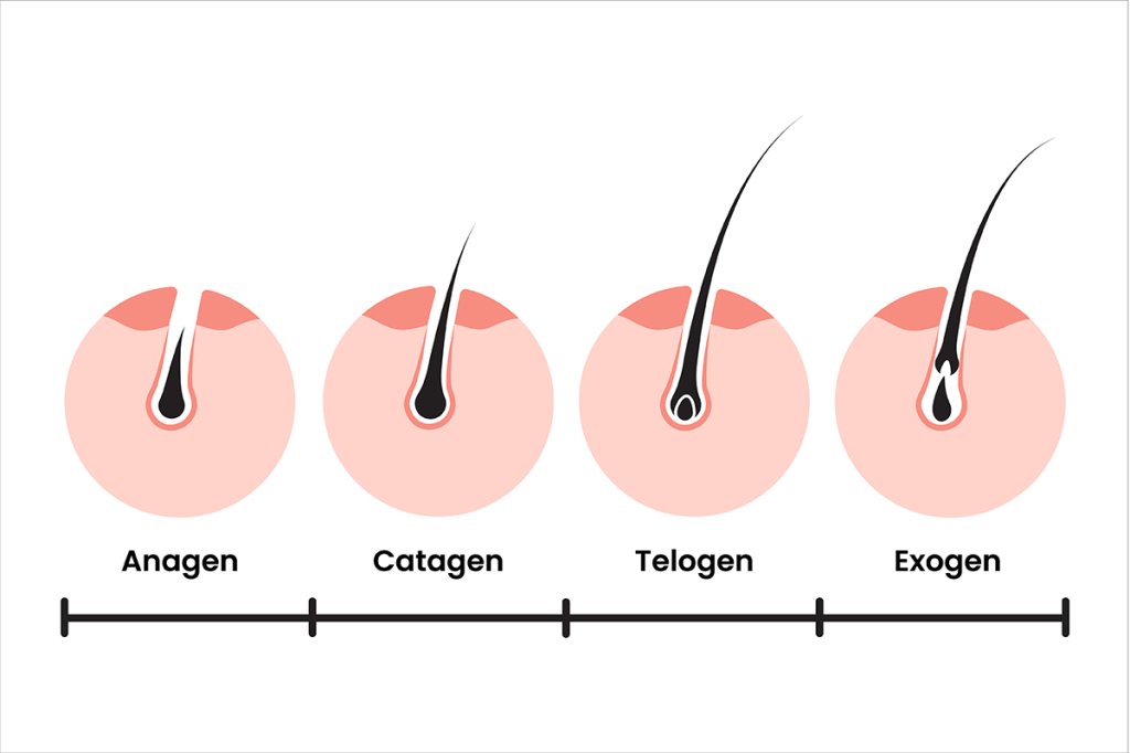 Does Waxing Reduce Hair Growth? Y or N Waxing the City